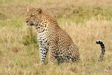 Зоопарк без клеток - Африка