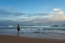 Альбом отзыва "Зоопарк без клеток - Африка"