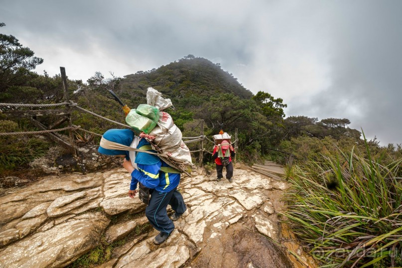 Зоопарк без клеток - Африка