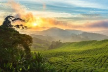 Альбом отзыва "Зоопарк без клеток - Африка"