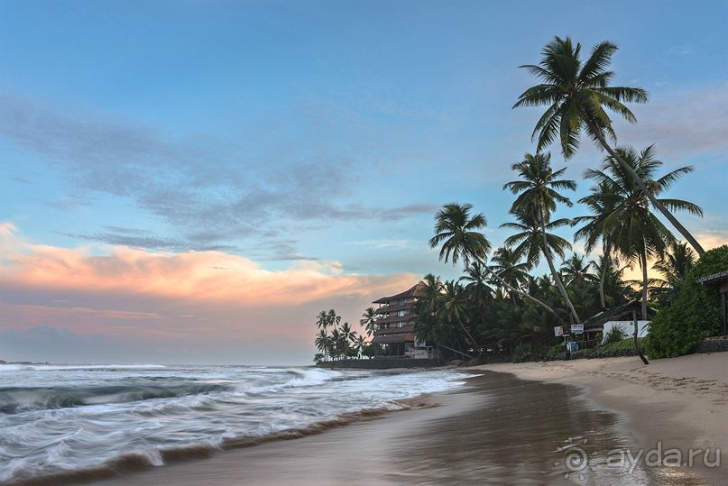 Альбом отзыва "Зоопарк без клеток - Африка"