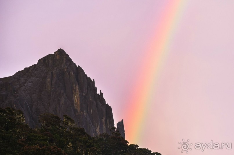 Зоопарк без клеток - Африка