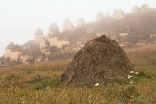 Альбом отзыва "Зоопарк без клеток - Африка"