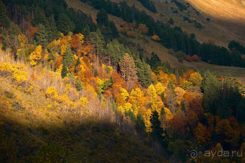 Зоопарк без клеток - Африка