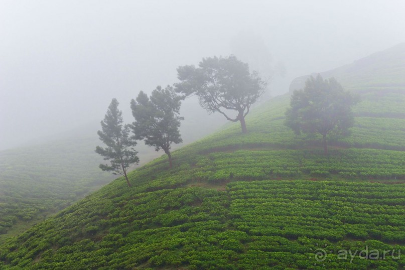 Зоопарк без клеток - Африка
