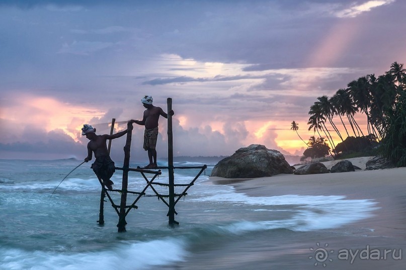 Зоопарк без клеток - Африка