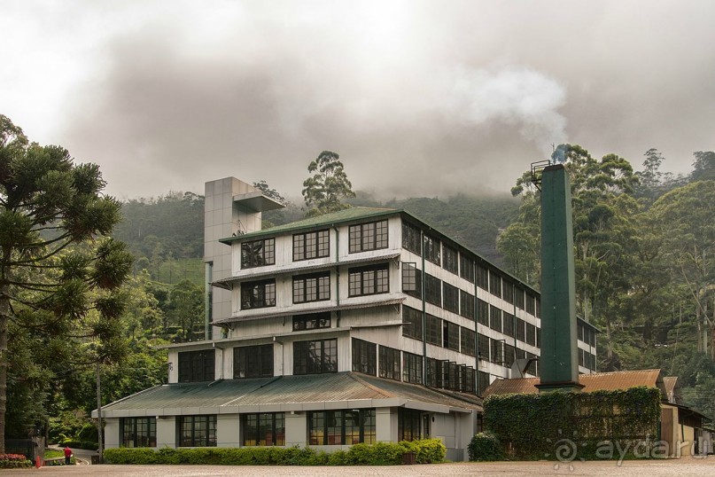 Зоопарк без клеток - Африка