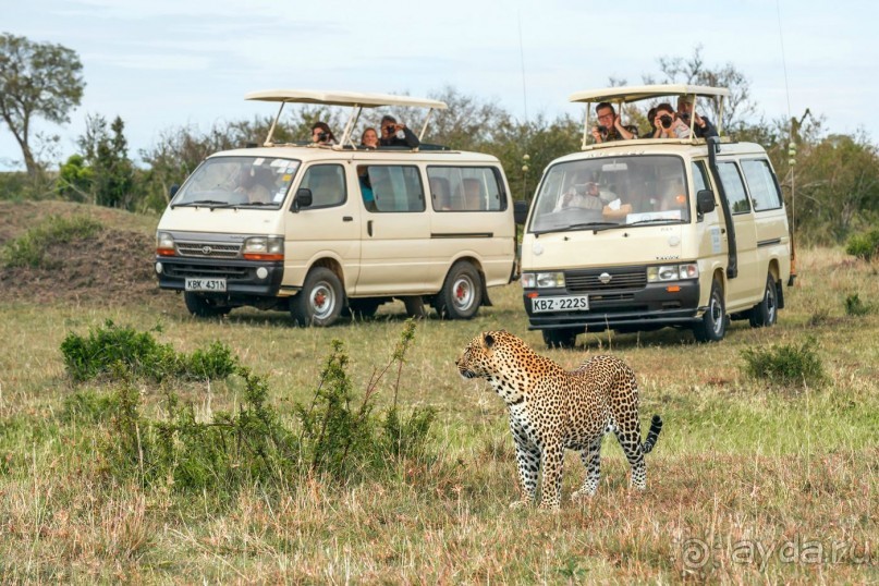 Зоопарк без клеток - Африка