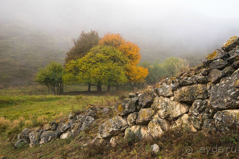 Зоопарк без клеток - Африка