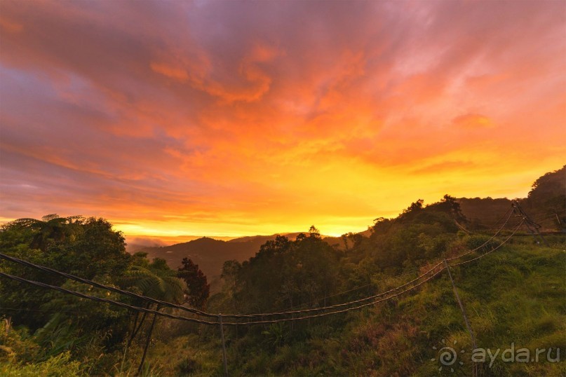 Альбом отзыва "Зоопарк без клеток - Африка"