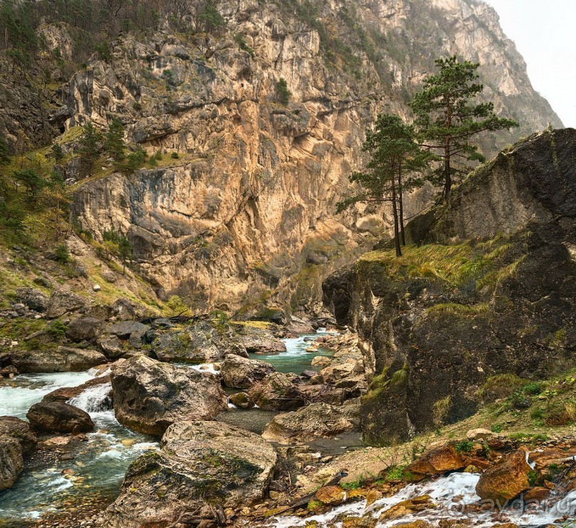 Зоопарк без клеток - Африка