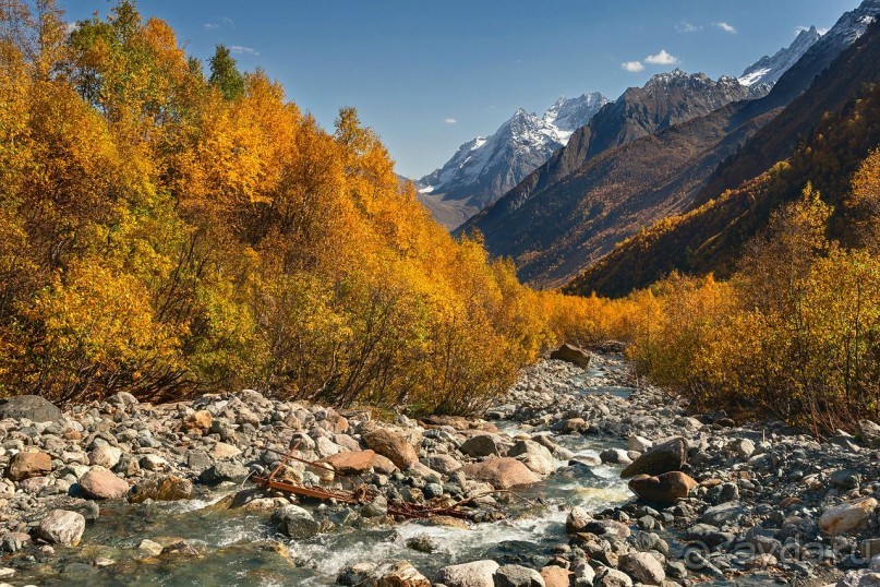 Зоопарк без клеток - Африка