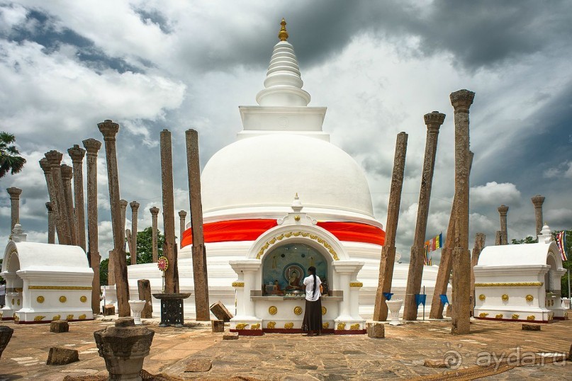 Зоопарк без клеток - Африка