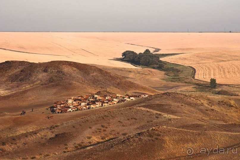 Зоопарк без клеток - Африка