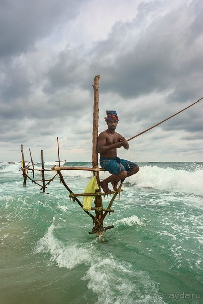 Зоопарк без клеток - Африка