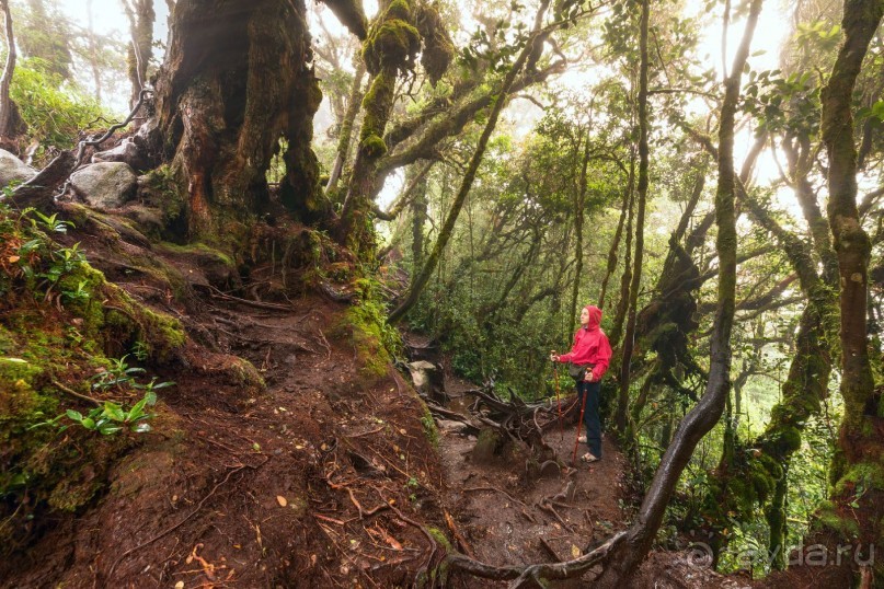 Зоопарк без клеток - Африка