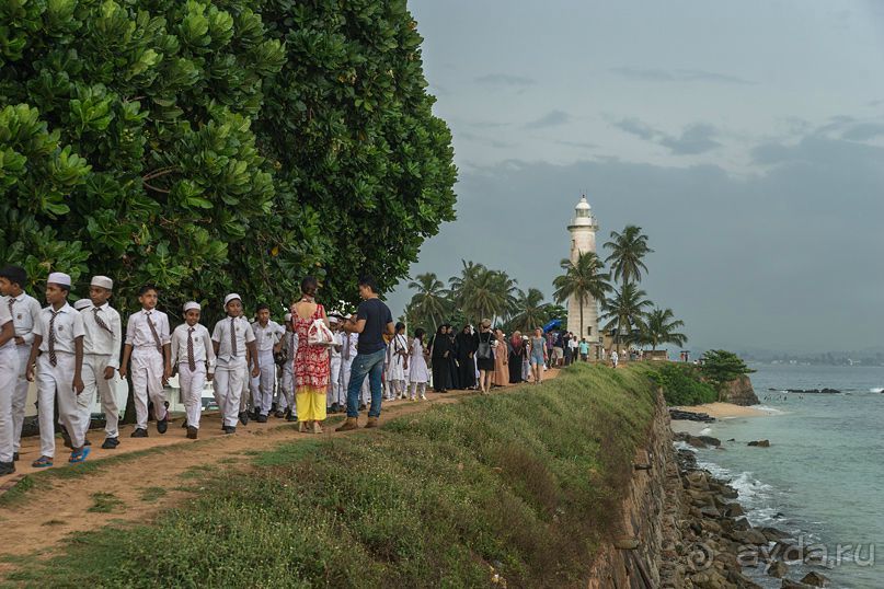 Зоопарк без клеток - Африка