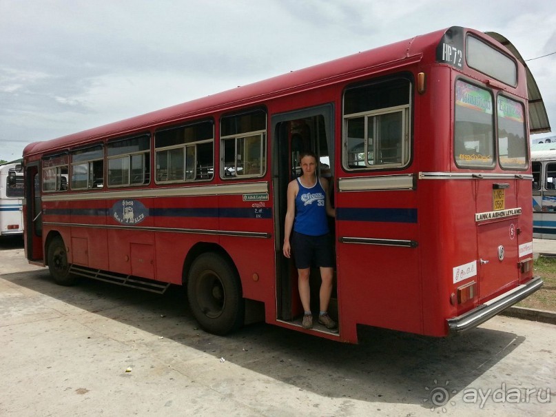 Зоопарк без клеток - Африка