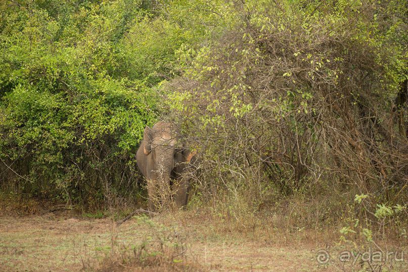 Зоопарк без клеток - Африка