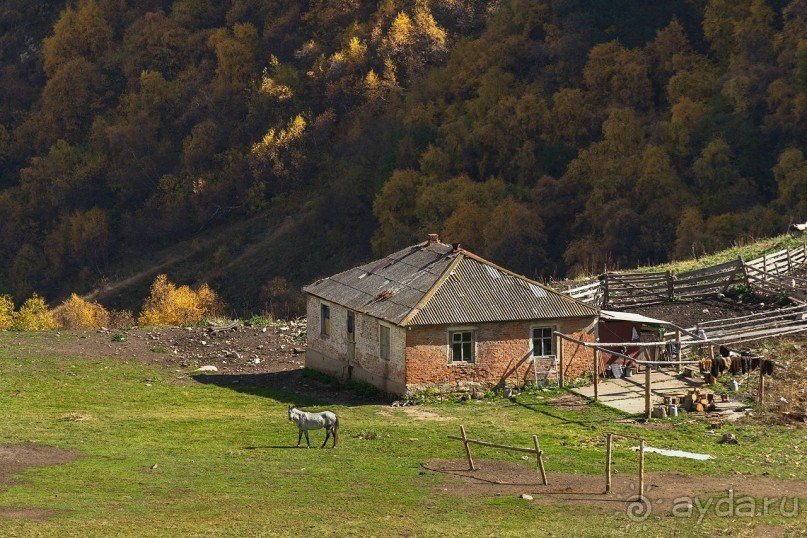 Зоопарк без клеток - Африка