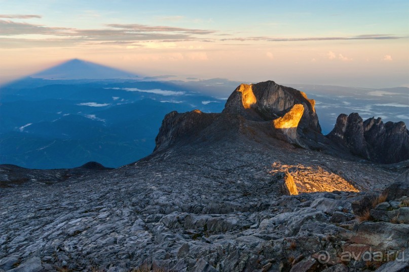 Зоопарк без клеток - Африка