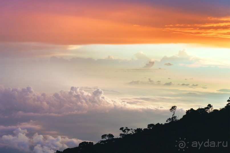 Зоопарк без клеток - Африка