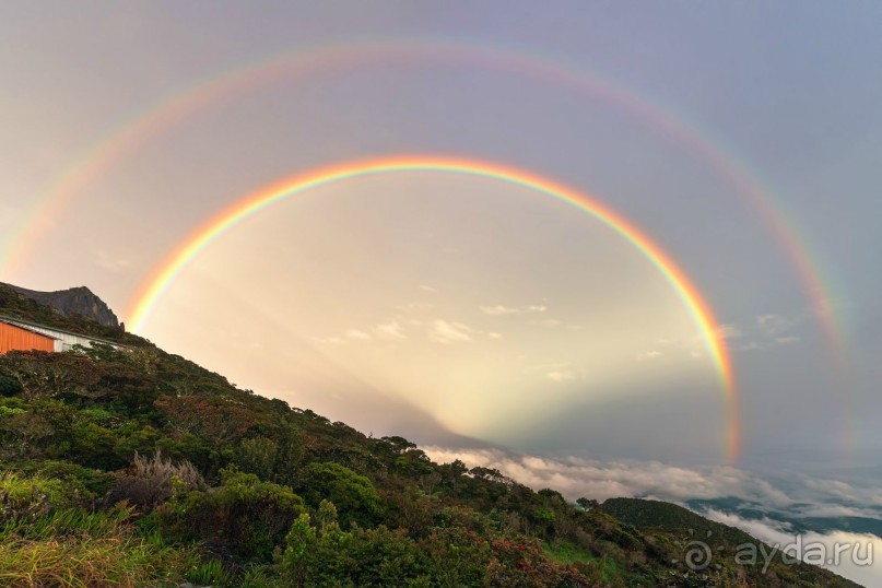 Альбом отзыва "Зоопарк без клеток - Африка"