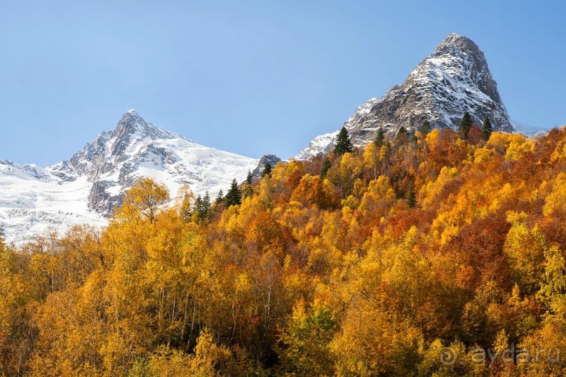 Зоопарк без клеток - Африка