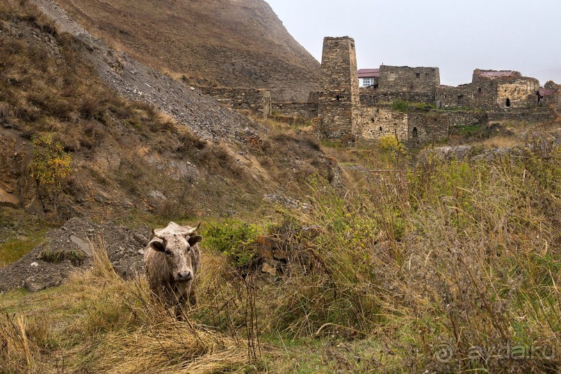 Зоопарк без клеток - Африка