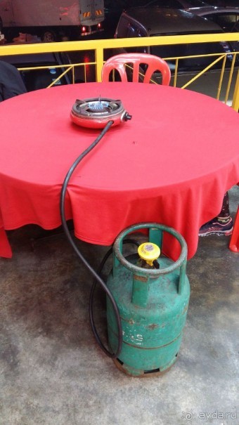 Альбом отзыва "Зоопарк без клеток - Африка"