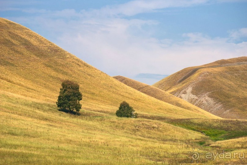 Зоопарк без клеток - Африка