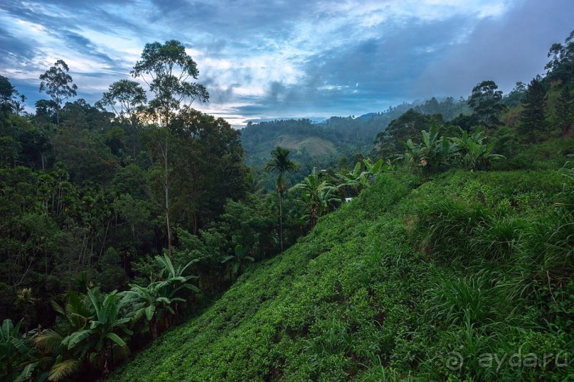 Зоопарк без клеток - Африка