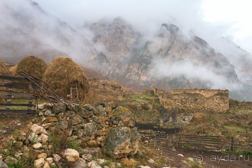 Зоопарк без клеток - Африка