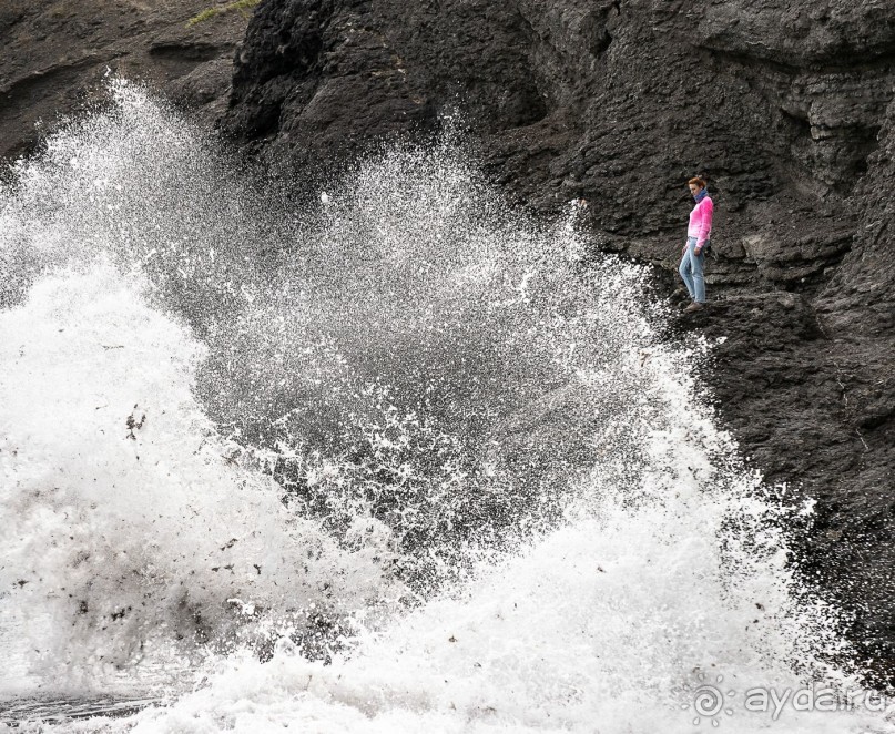 Зоопарк без клеток - Африка