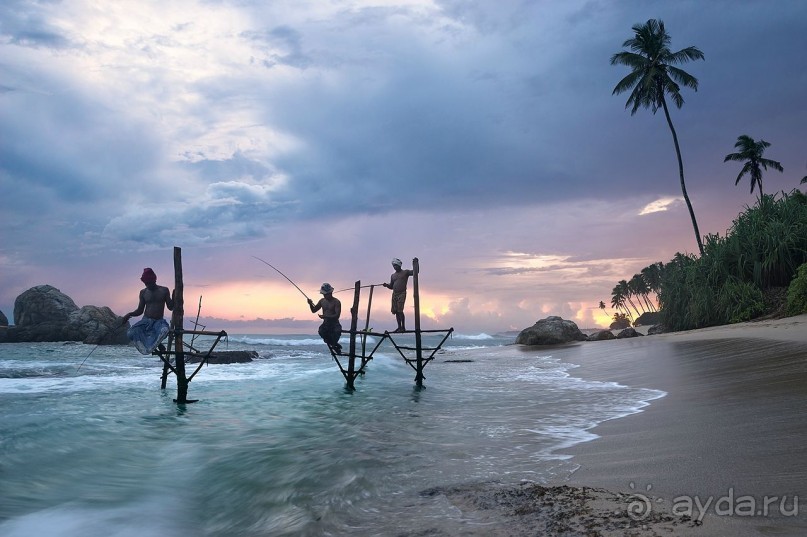 Зоопарк без клеток - Африка