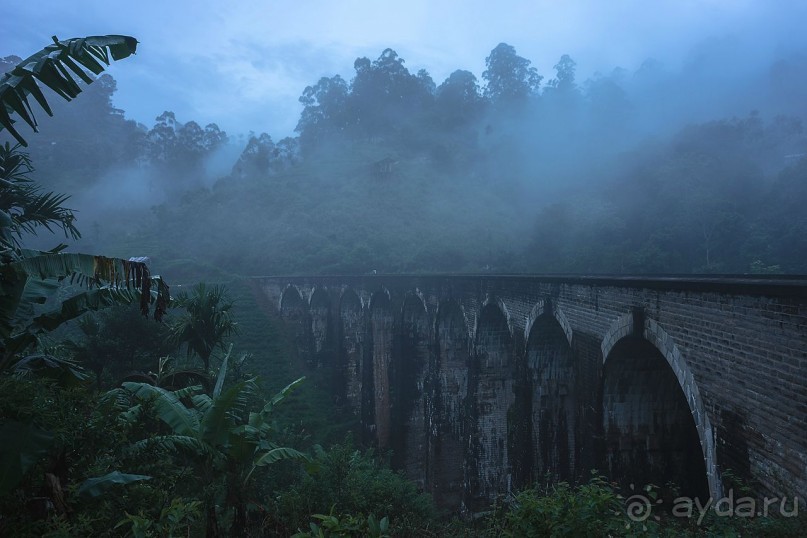 Зоопарк без клеток - Африка