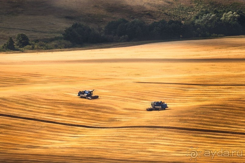 Зоопарк без клеток - Африка