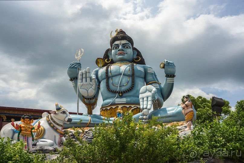 Зоопарк без клеток - Африка