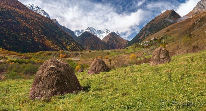 Зоопарк без клеток - Африка