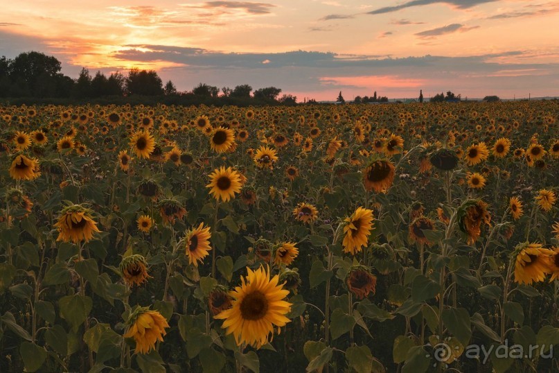 Зоопарк без клеток - Африка