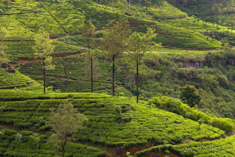 Зоопарк без клеток - Африка