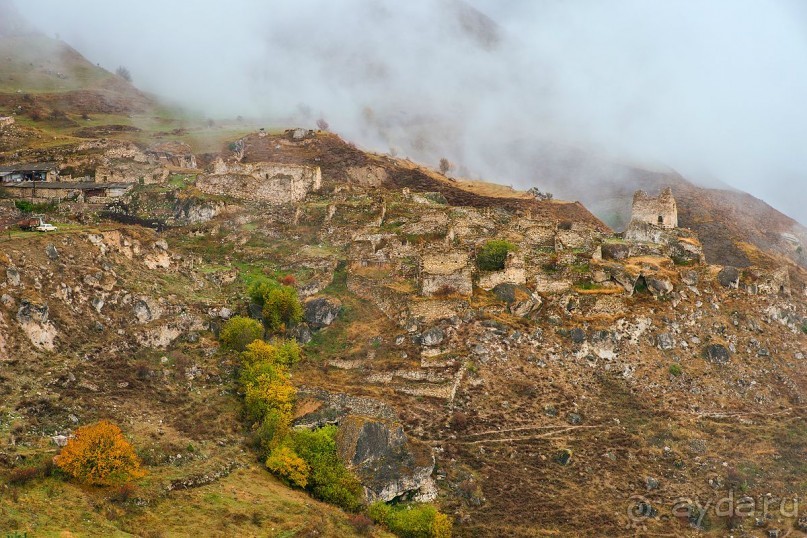 Зоопарк без клеток - Африка