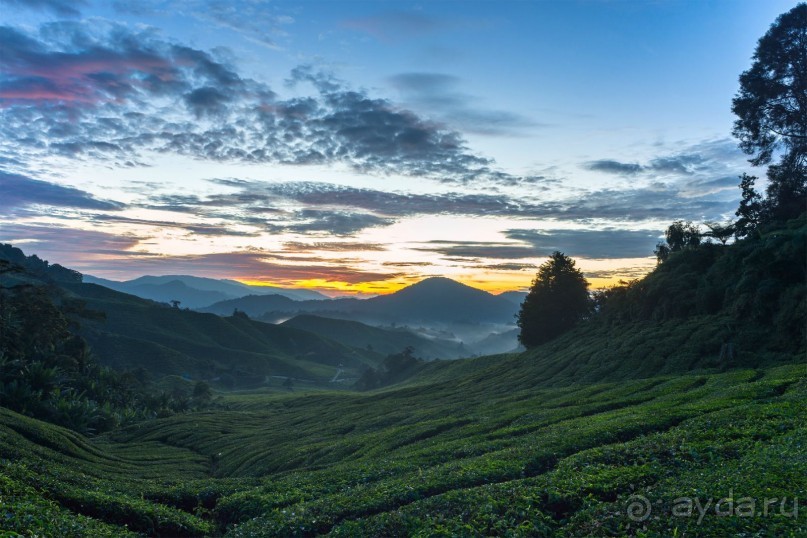 Зоопарк без клеток - Африка