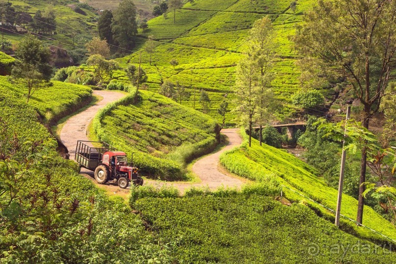 Зоопарк без клеток - Африка