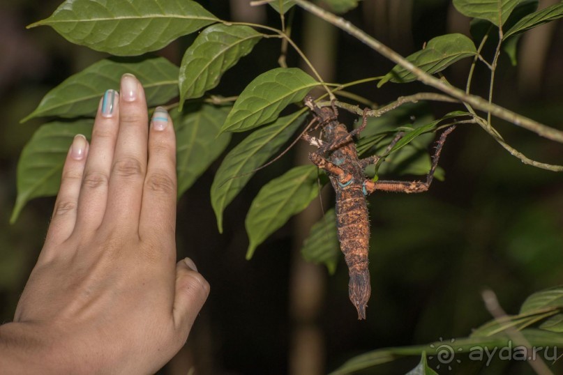 Зоопарк без клеток - Африка