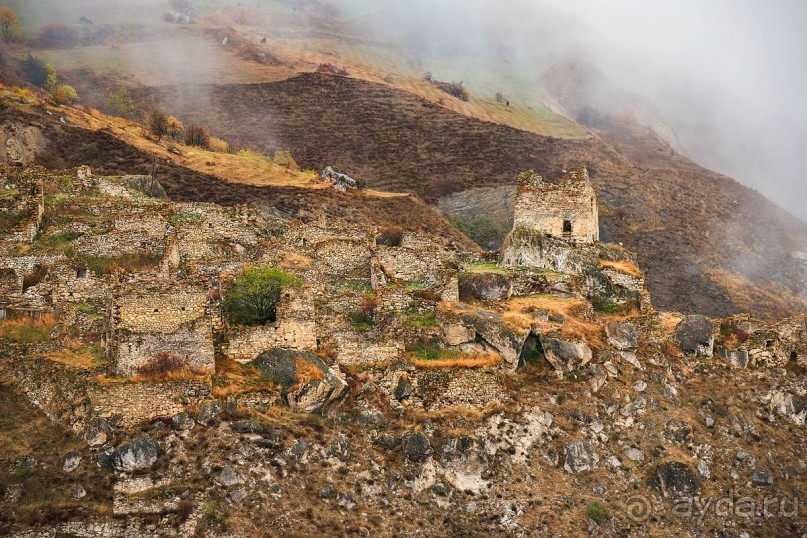 Зоопарк без клеток - Африка