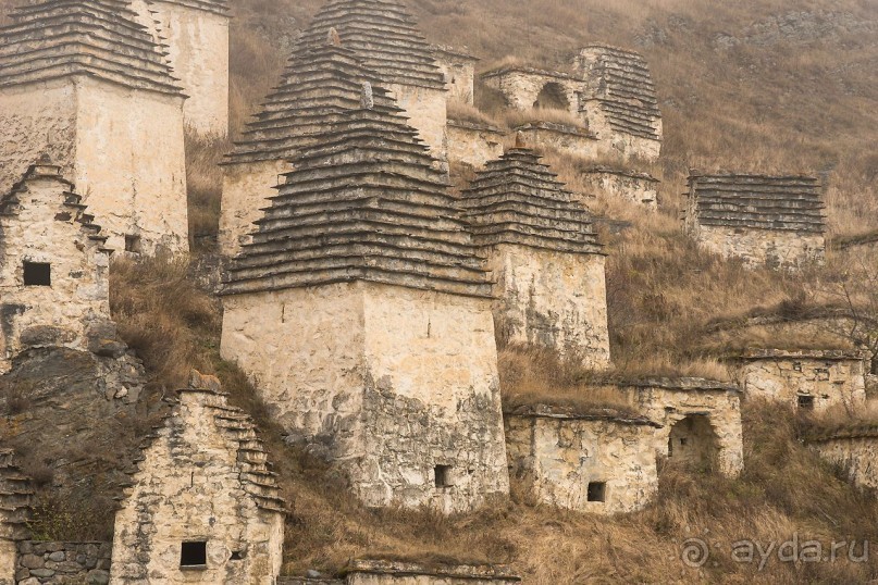 Зоопарк без клеток - Африка