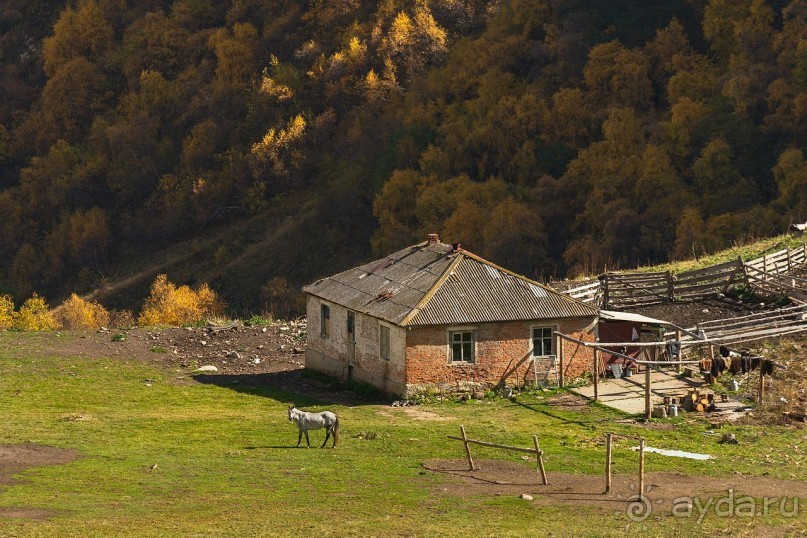 Зоопарк без клеток - Африка