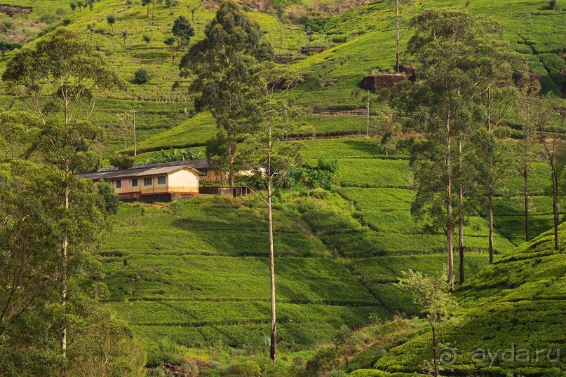 Зоопарк без клеток - Африка