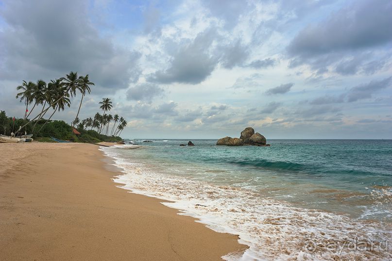 Зоопарк без клеток - Африка